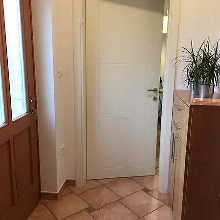 Apartamento - Nocitve Falco