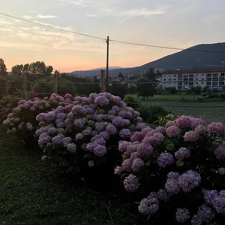 - Nocitve Falco Apartamento *