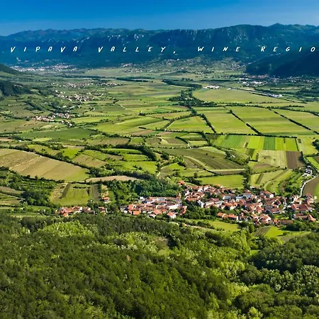 דירה - Nocitve Falco *