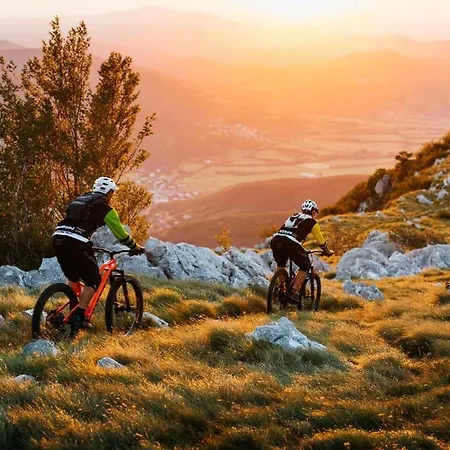 - Nocitve Falco Apartment