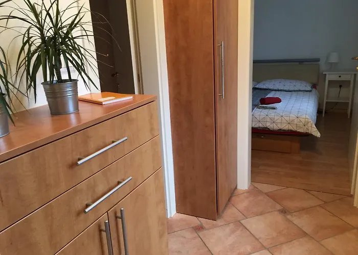 - Nocitve Falco Nova Gorica