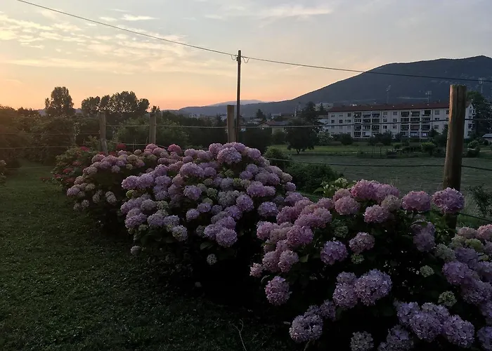 - Nocitve Falco 公寓 *