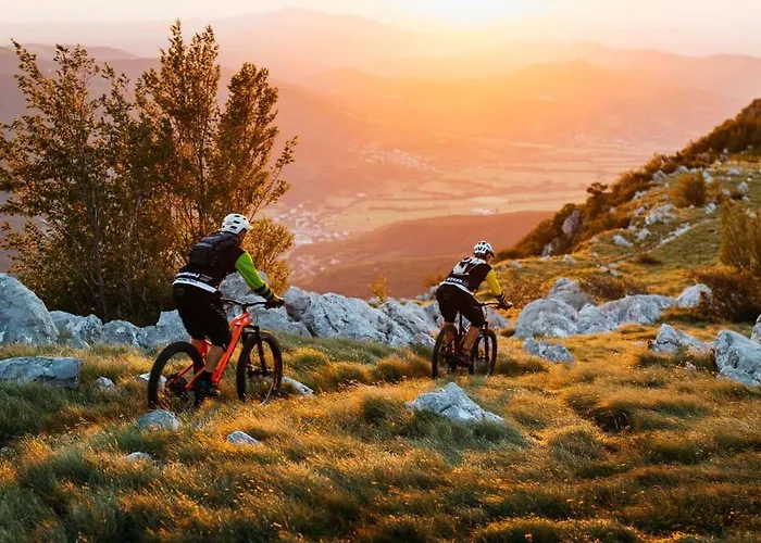 - Nocitve Falco דירה