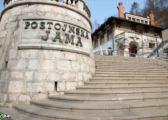 - Nocitve Falco 新戈里察