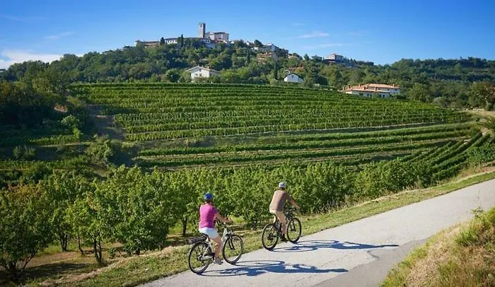 דירה - Nocitve Falco *