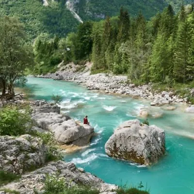 公寓 - Nocitve Falco 新戈里察